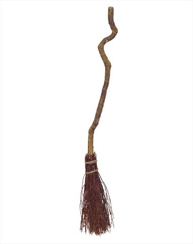 [witches+broom]