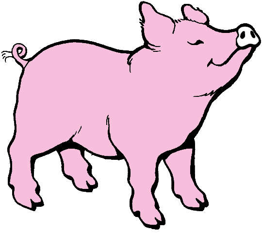 [pig.gif]