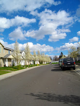 Our Happy Little Street