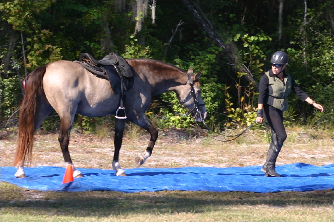 THE TARP with a sprinkler