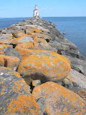 Lake superior light house. labor day '07