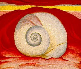 [shell.jpg]