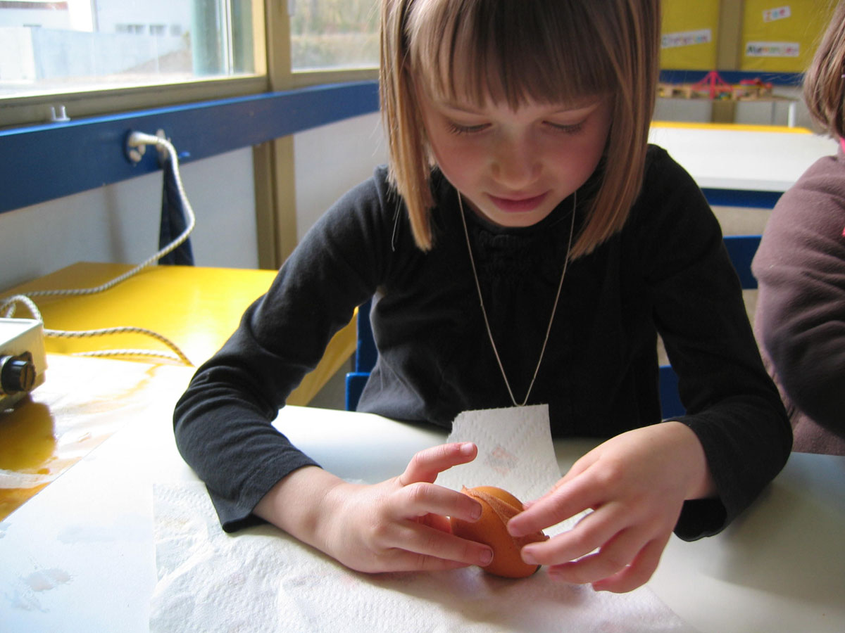[IMG_7916.JPG]