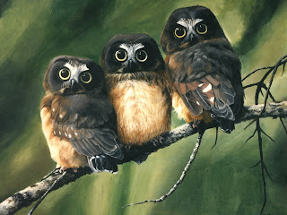 Michigan Owls