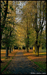 Autumn Park