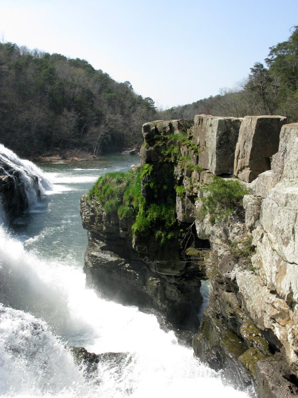 Sunny Side Up High Falls Park Geraldine, Alabama