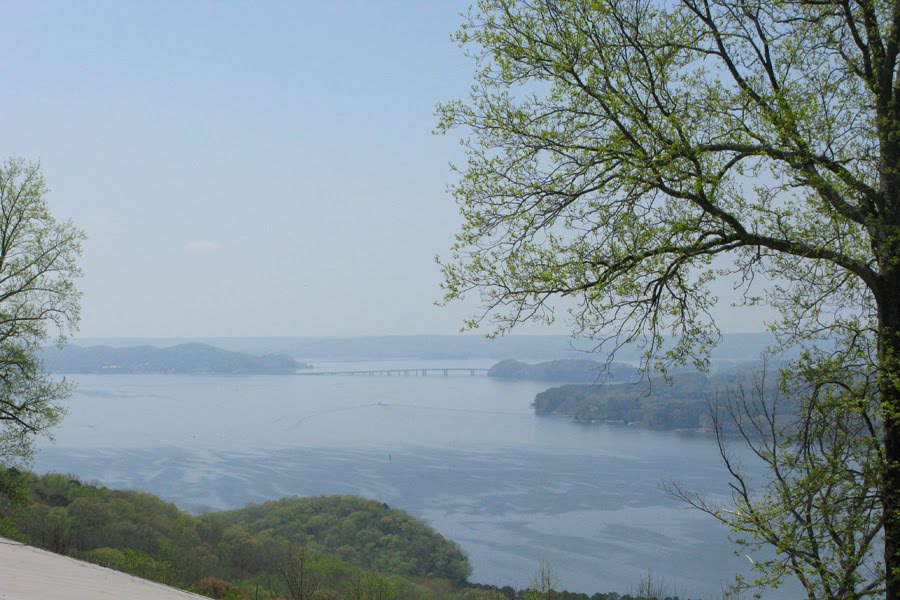 Sunny Side Up High Falls Park Geraldine, Alabama
