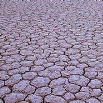 [dry+ground.jpg]