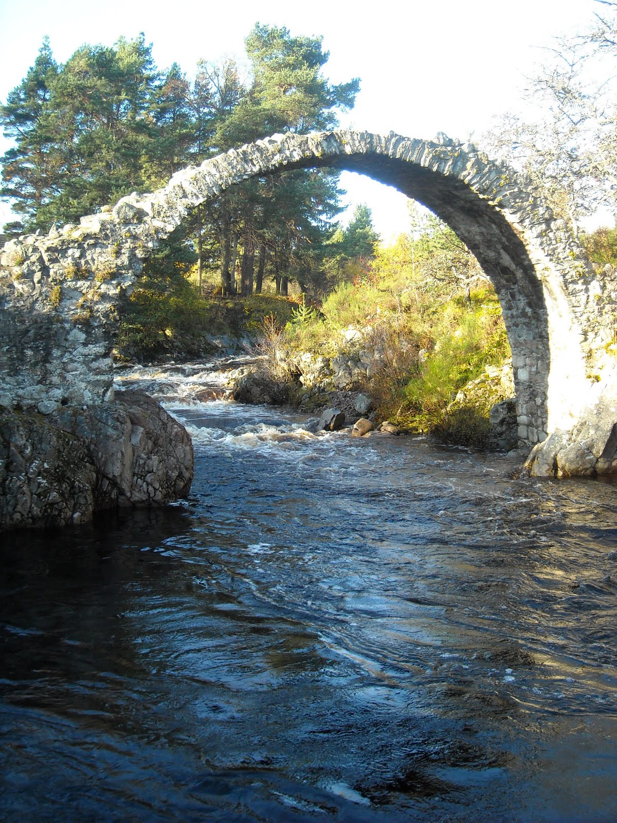 [Carr+Bridge+3.JPG]