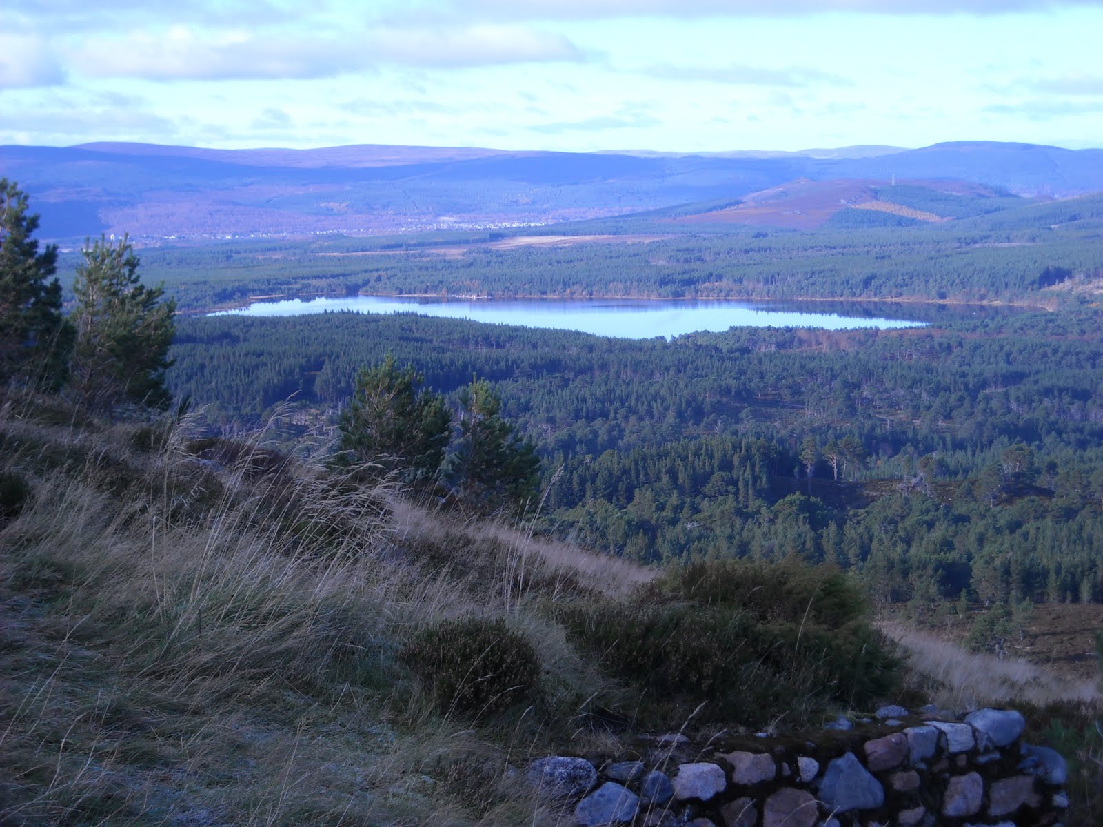 [Cairngorms+3.JPG]