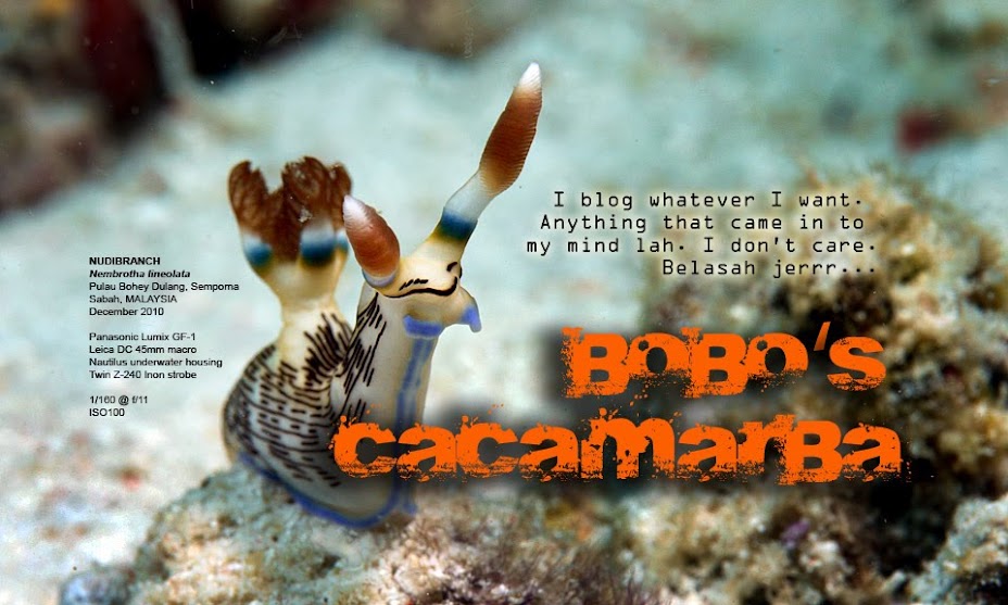 Bobo's cacamarba