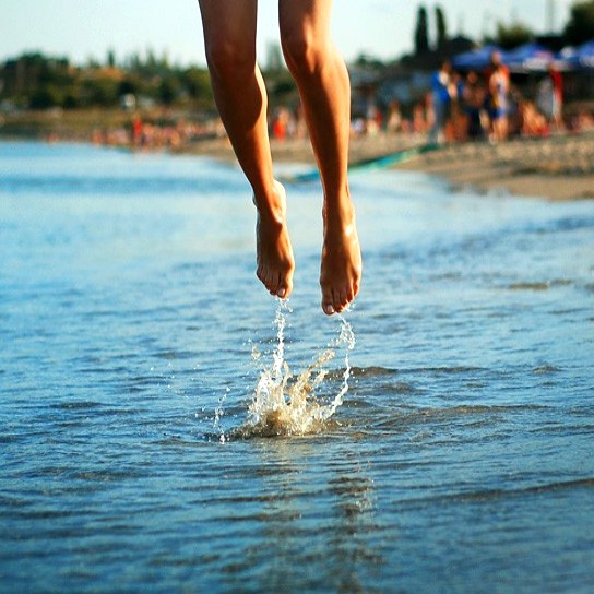 [Fly+Song+0049d.jpg]