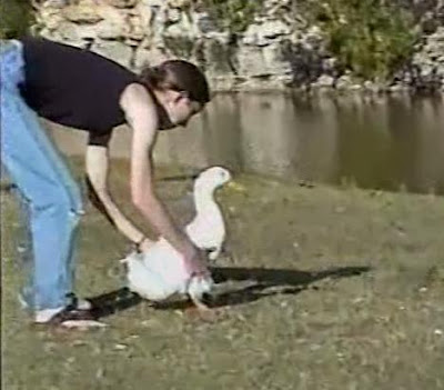 Fred Duck