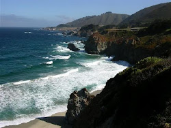 "17 Mile Drive & Big Sur"