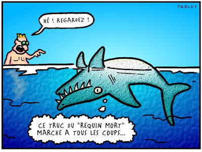 Un curieux animal des abysses : le requin lutin ! Requin+mort