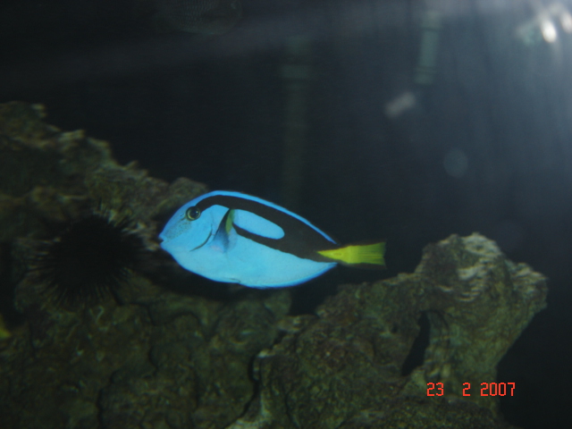 [DSC09599.JPG]