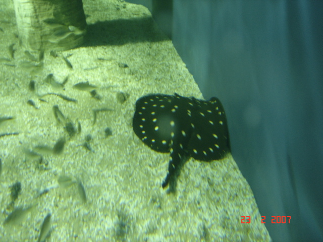 [DSC09588.JPG]