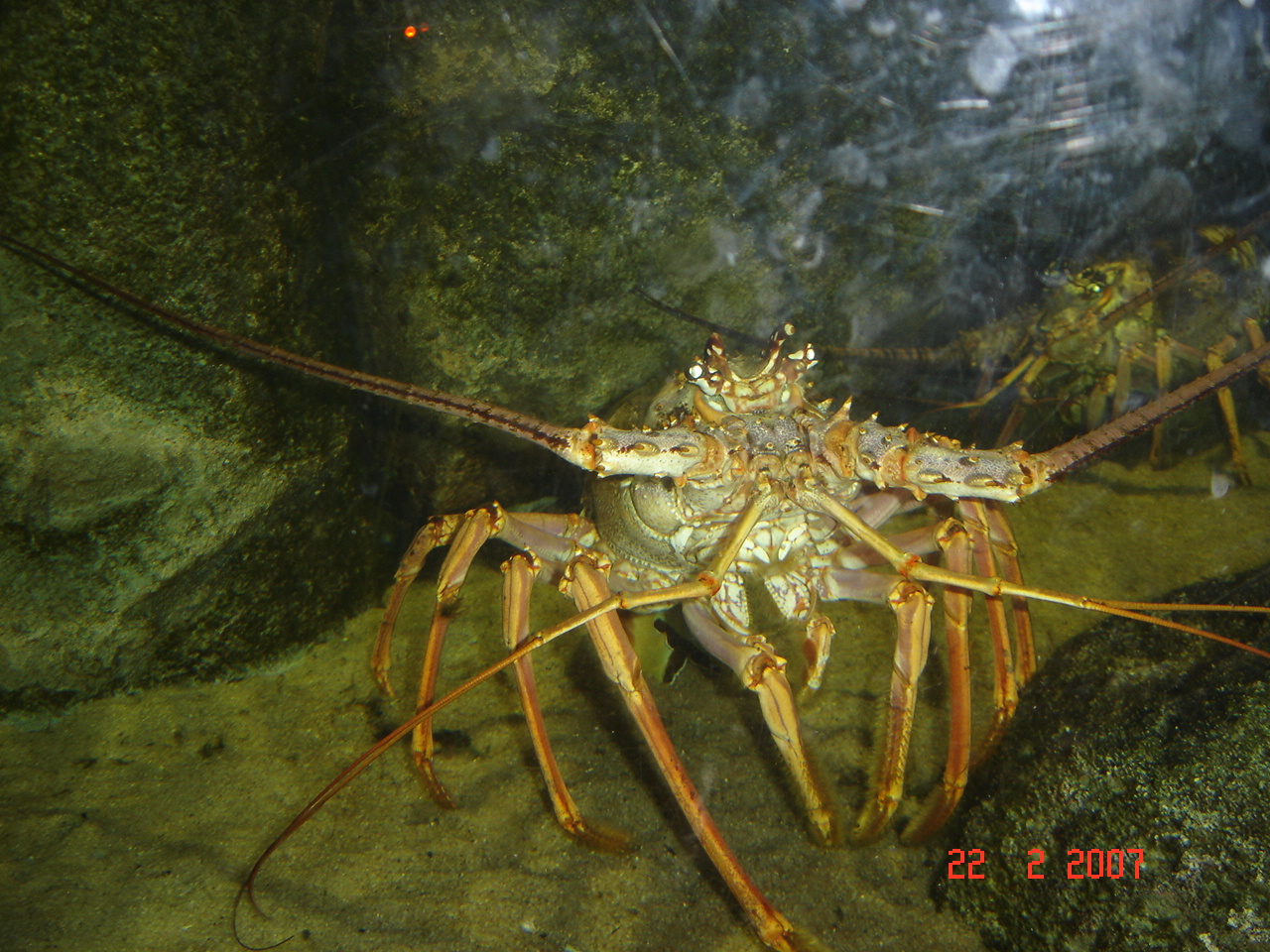 [DSC09258.JPG]