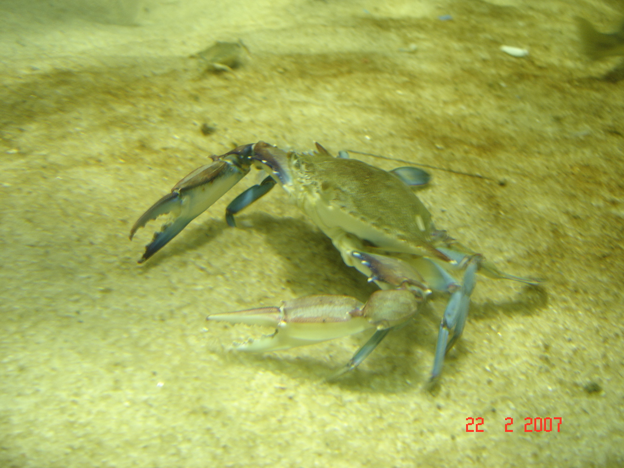 [DSC09295.JPG]