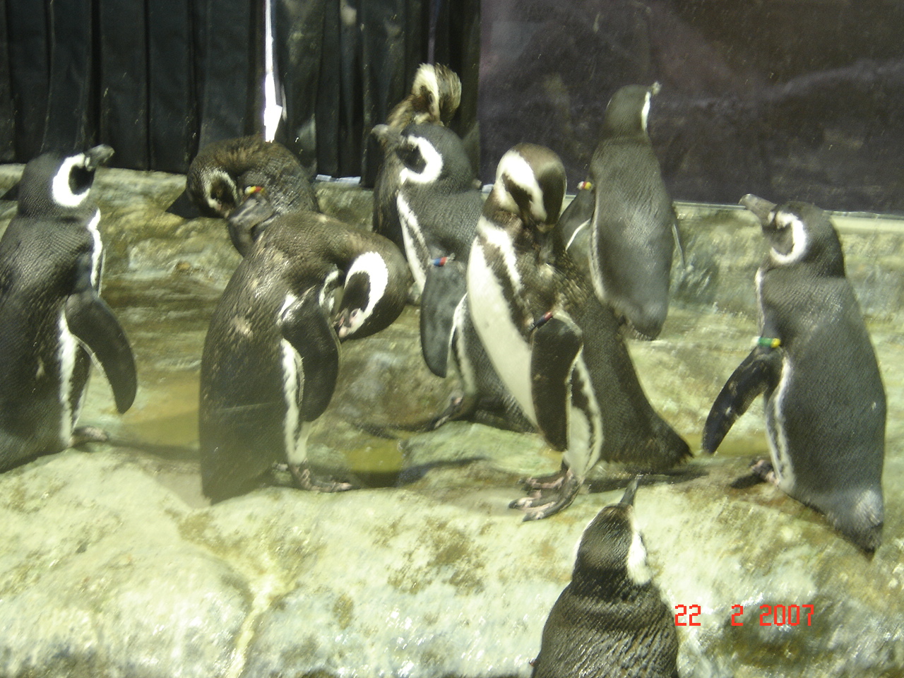 [DSC09414.JPG]