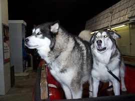 My Friends Sage and Hoss