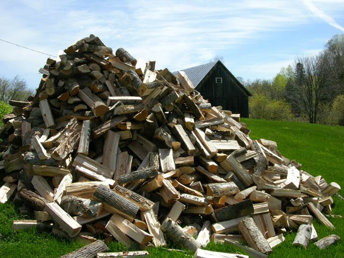 Studio and Garden Woodpile