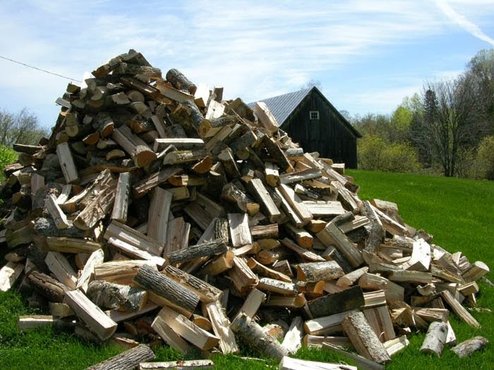 Studio and Garden Woodpile