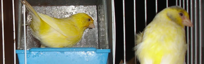 el baño