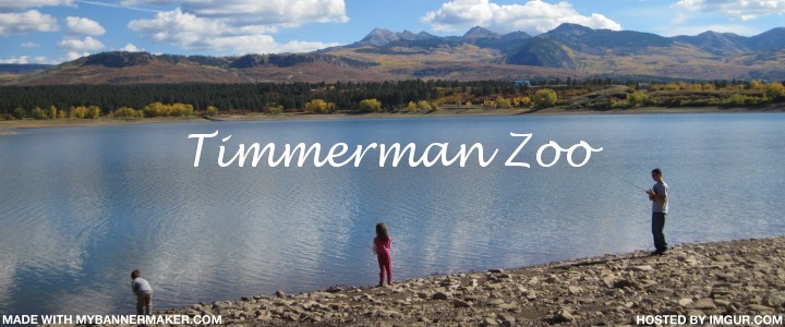 Timmerman Zoo