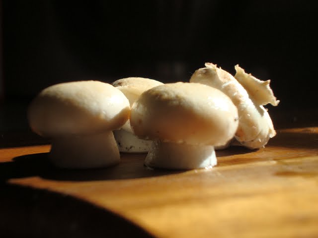 [Mushroom3.jpg]