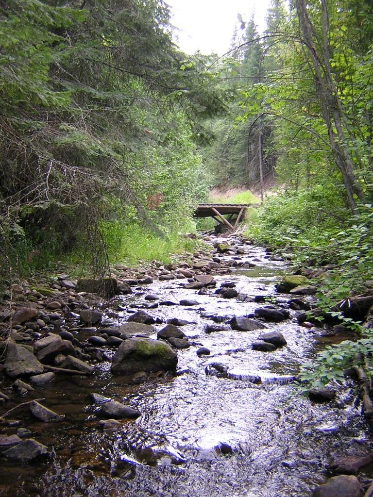 Bluff Creek California