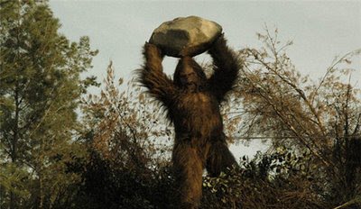 THE FIELD GUIDE TO BIGFOOT AND OTHER MYSTERY PRIMATES: Coleman