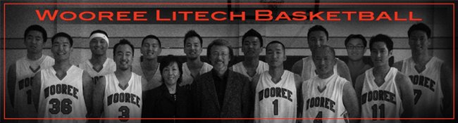 Wooree Litech Basketball