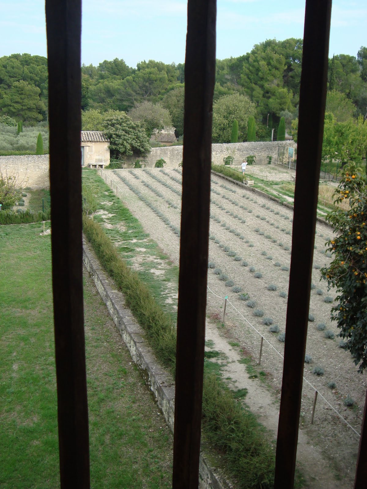 [DSC01977.JPG]