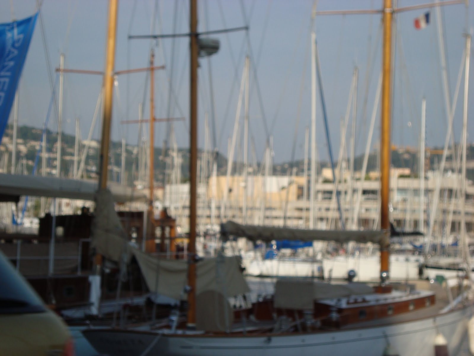 [DSC01787.JPG]