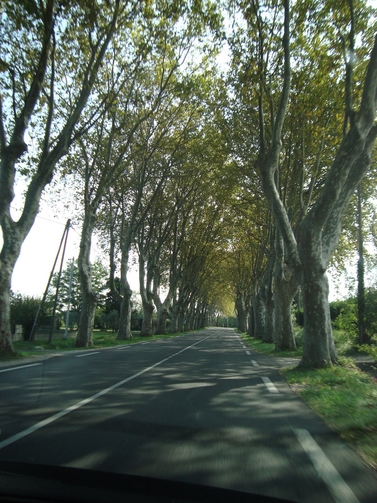 [DSC01870.JPG]