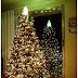 Purdiest Christmas tree EVER.