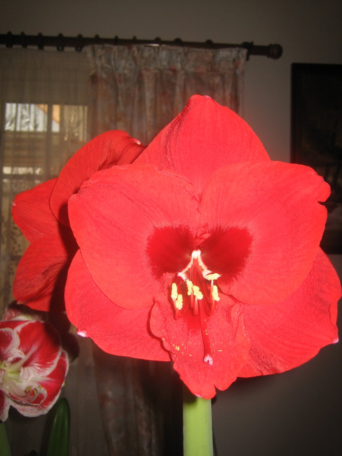[IMG_4398.JPG]