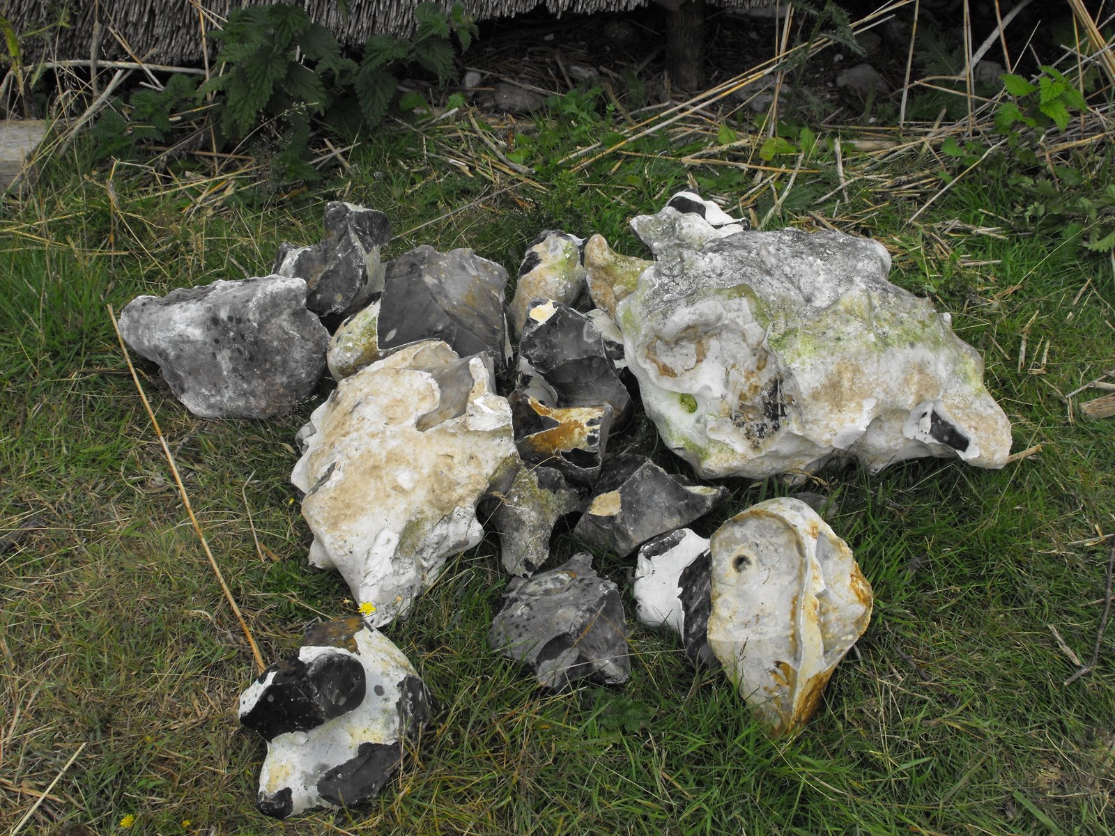 [2009_08025thJuly20070131.JPG]