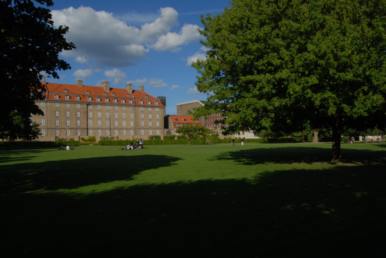 [DSC_0118.JPG]