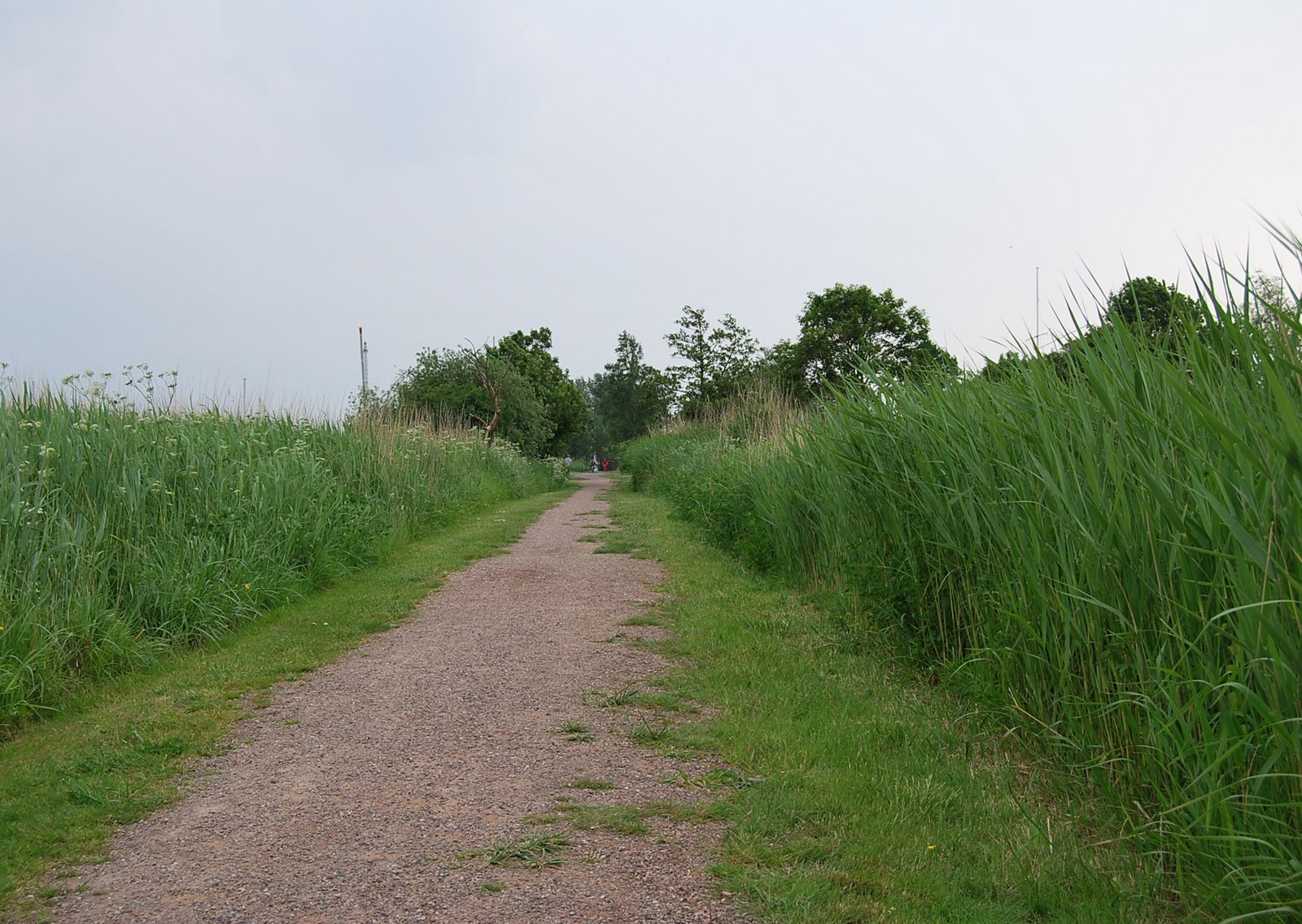 [DSC_0262+Kopie.jpg]