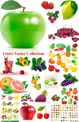 fruit vector art