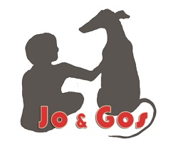 Proyecto  "JO & GOS"