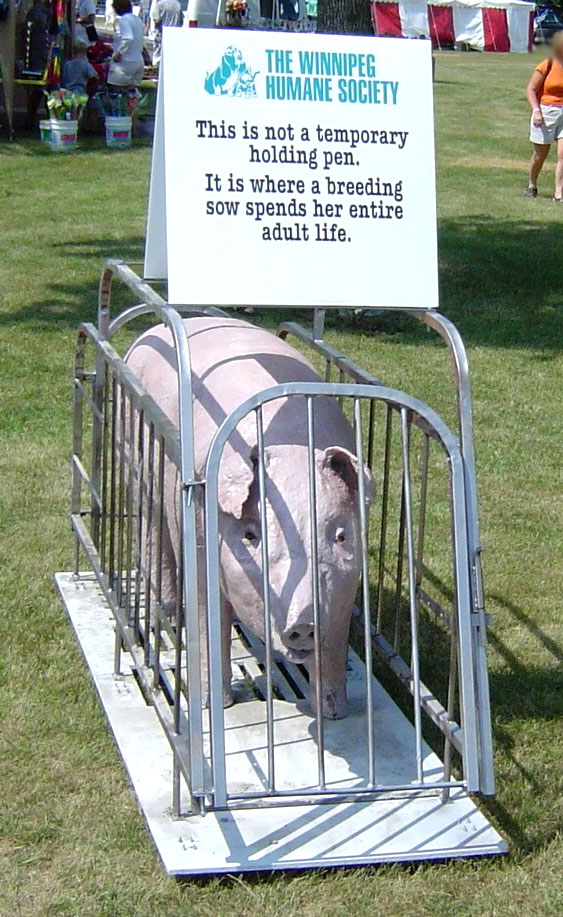 [WHSSowDisplay2large.jpg]