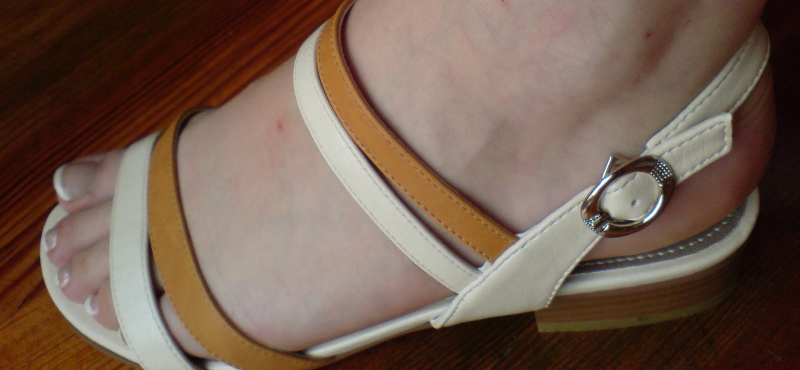 [DSC02001tf.JPG]