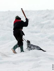 CANADIENCES  HUMANITARIOS