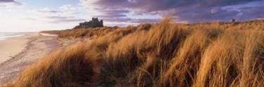 such as Roseberry Topping