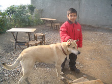 My Photo
