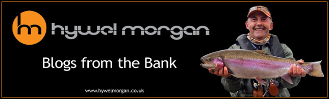 Hywel Morgan's Blog from the Banks