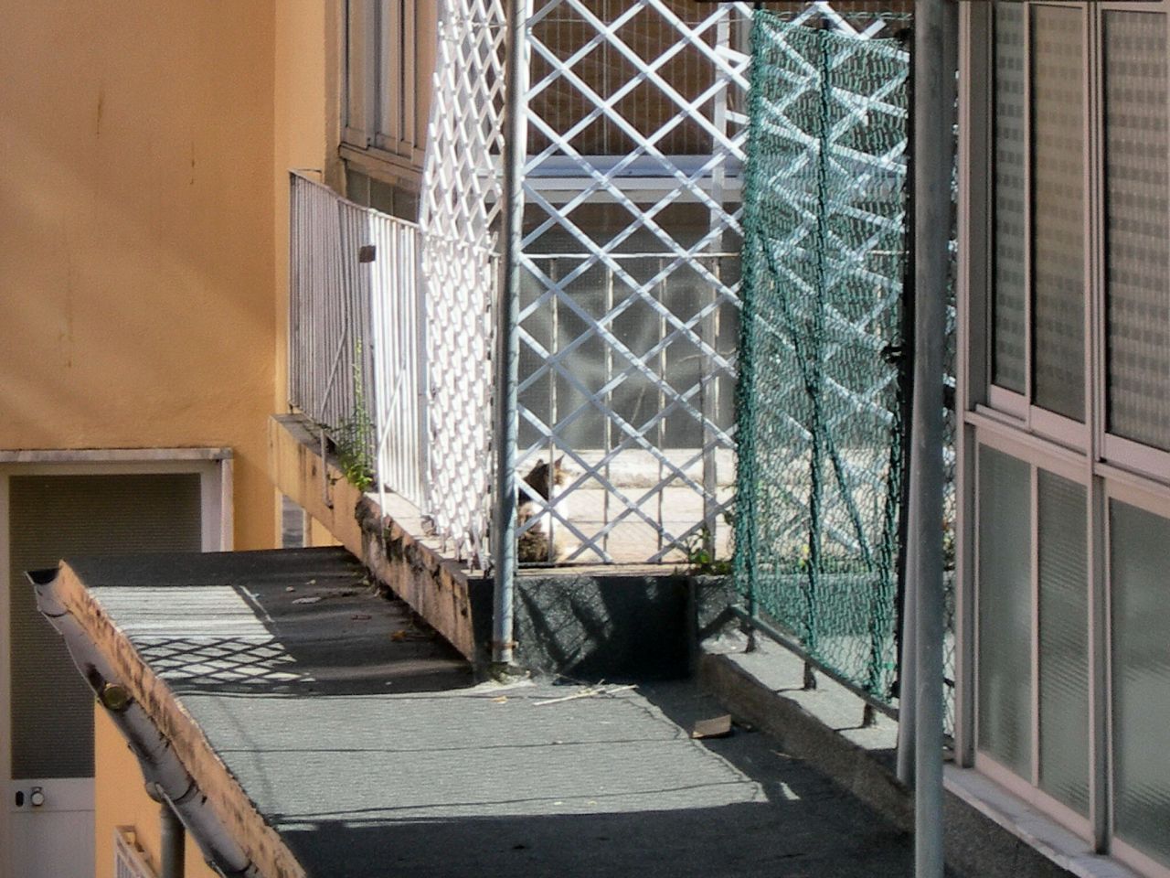 [FSCN4424.JPG]